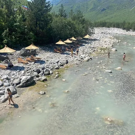 Véni I Gjyshit *